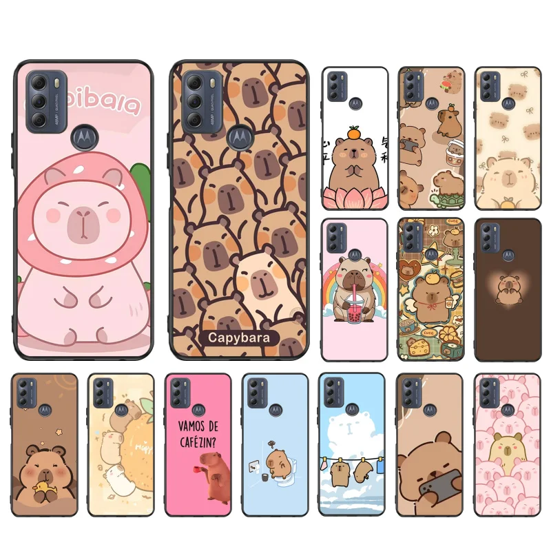 Cartoon Capybara Ph…