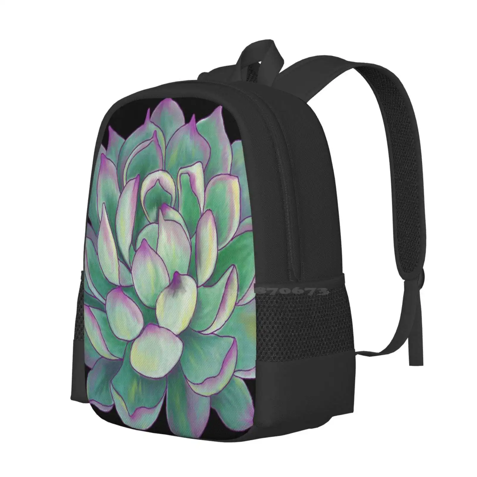 Sukkulente Pflanzen muster Design Laptop Reise Schult aschen Sukkulenten Wüste Natur Garten Kaktus grüne Blume Blumen botanisch