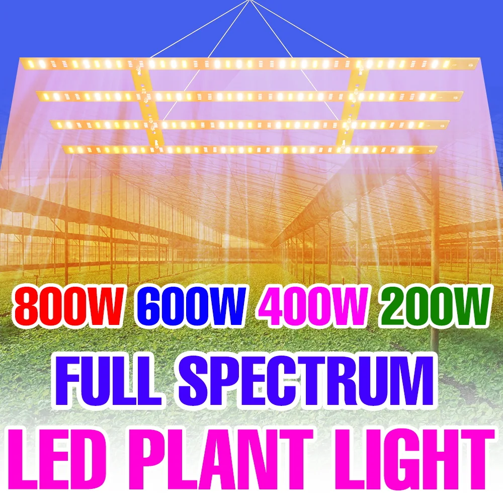 800W LED Grow Light Full Spectrum Plant Lamp IR UV Quantum Board For Indoor Greenhouse Tent Tomato Green Vegetable Fill Lighting
