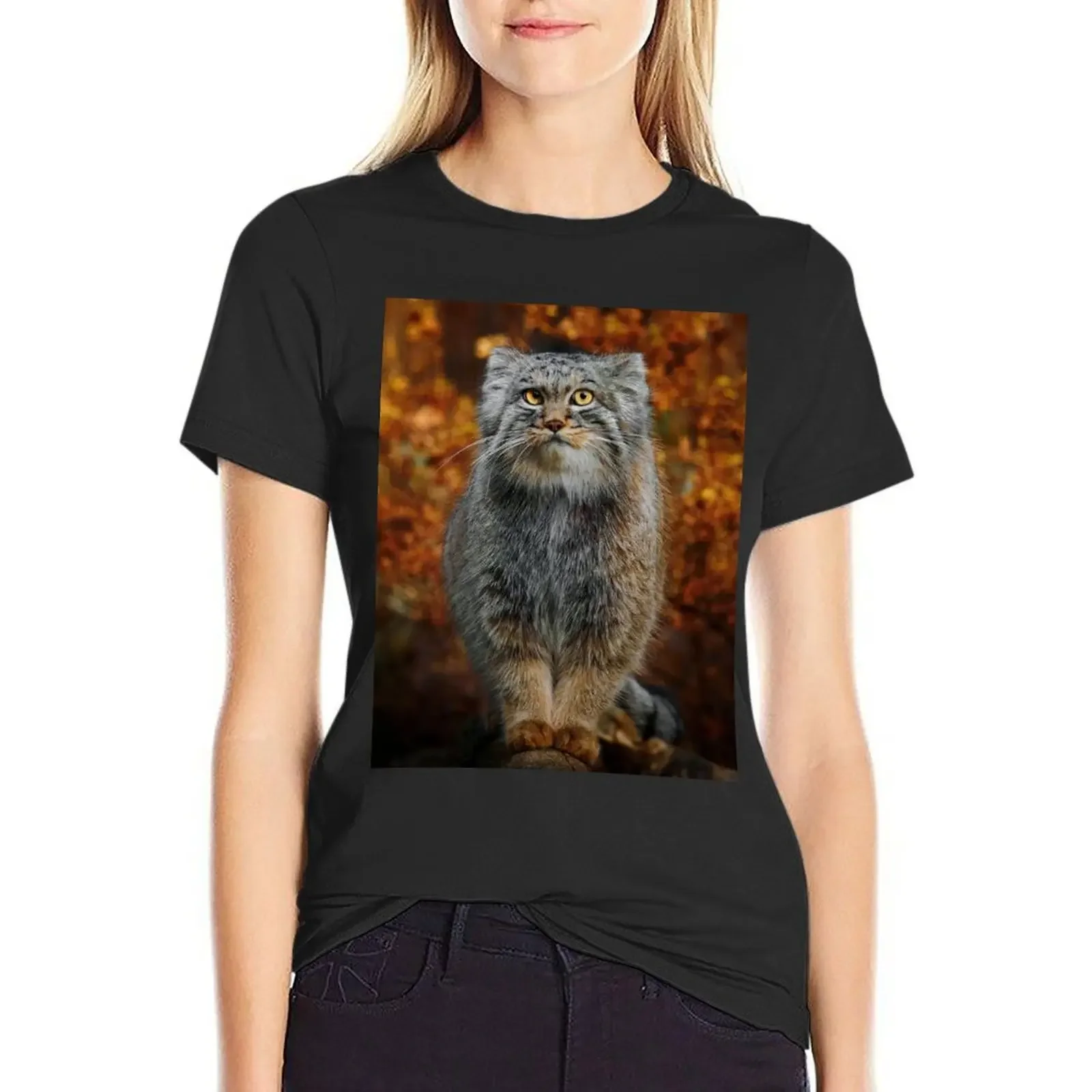 

Pallas's Cat / Manul T-Shirt quick drying Short sleeve tee tees plus size tops clothes for woman