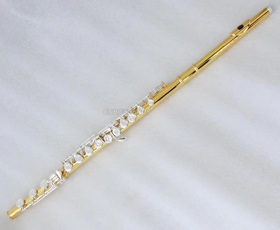 Hot sale Prof 17 Open Hole 24K Gold Plating Flute Silver plated Key With Case