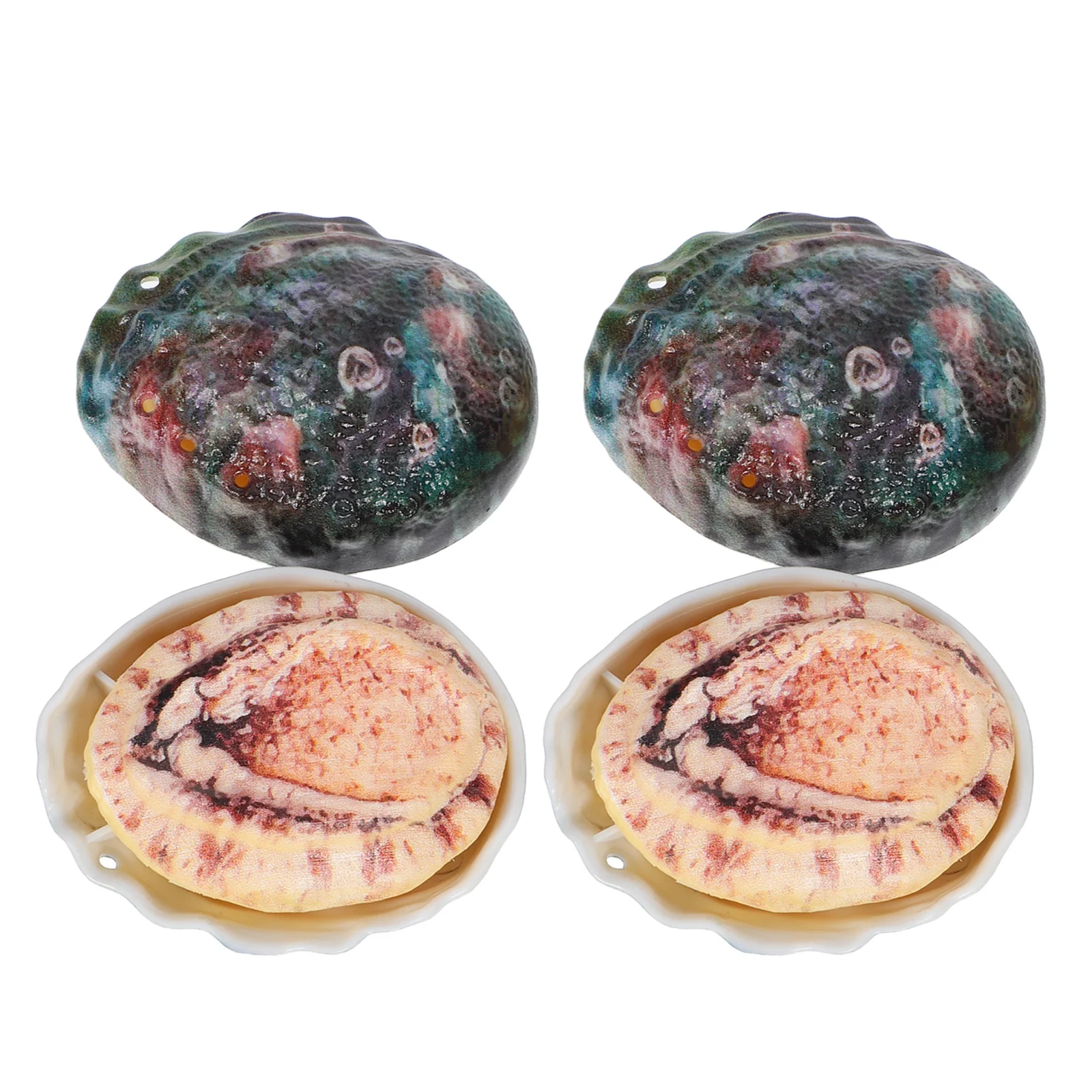 4 pçs abalone concha squirter imprensa para esguitar para crianças forma realista leve durável bordas suaves ao ar livre verão piscina praia