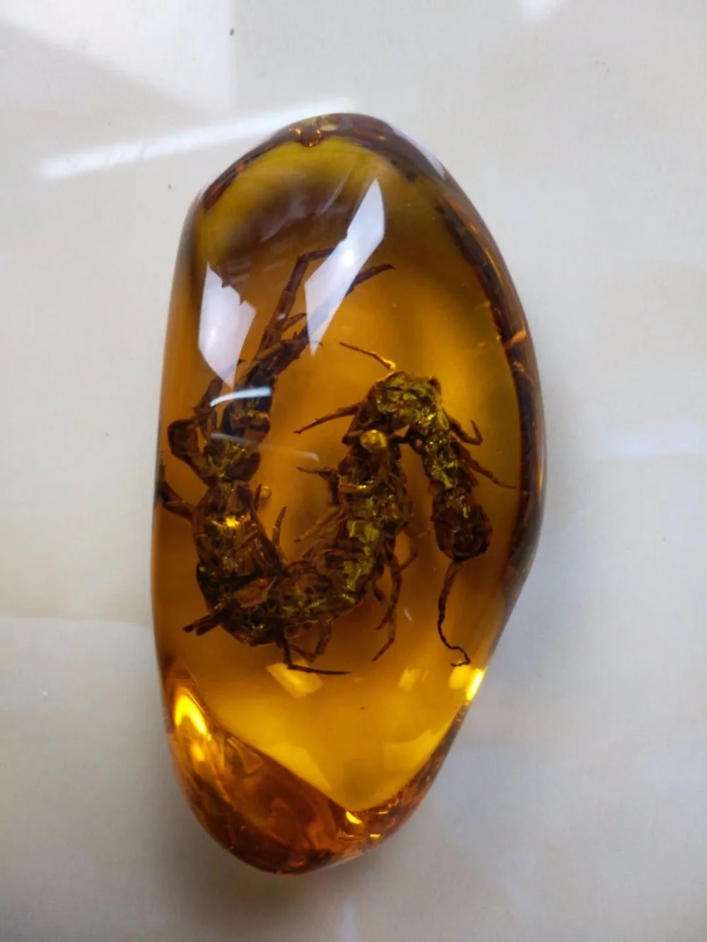 Exquisite Chinese collection Artificial Amber Resin vivid Centipede