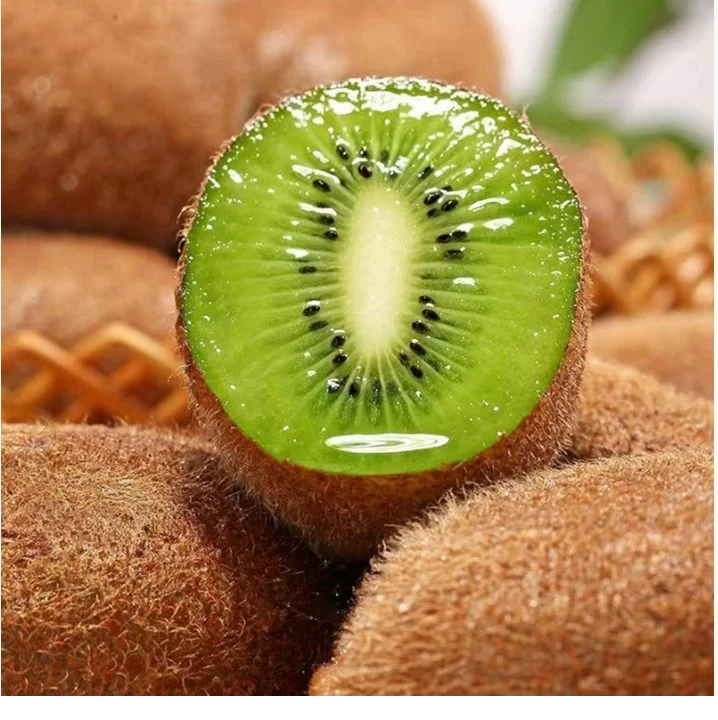 3D Printed Waist-Le…