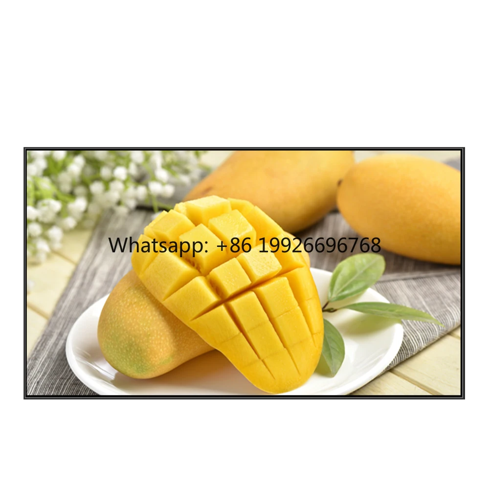 32-Inch PACP Indoor Smart LCD Digital Menu Screen Wall-Mounted Touchscreen Digital Signage Display Advertising Screen