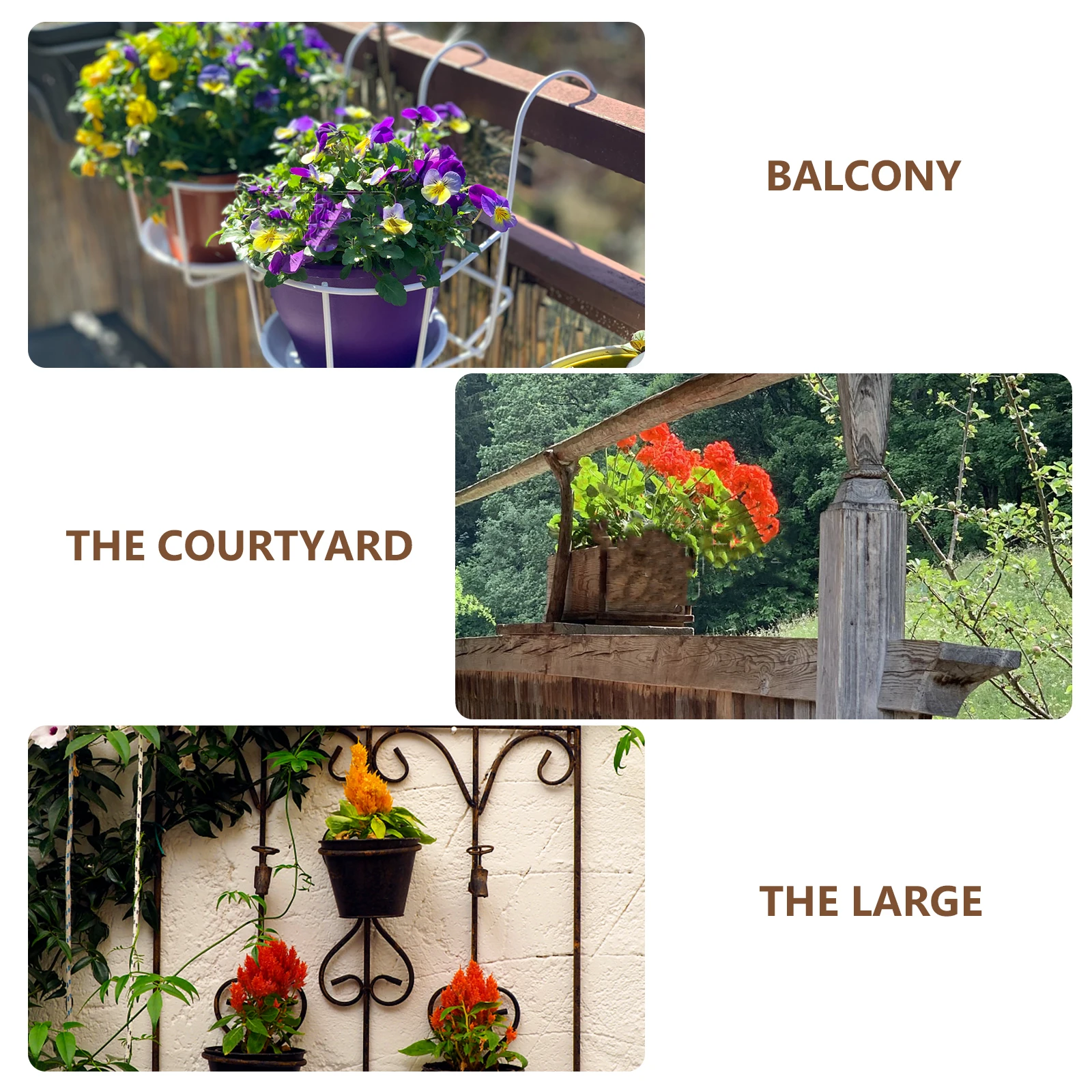 

Hanging Succulent Flower Pot Coconut Planter Plants Holder Indoor Garden Decoration Small Shells Stand