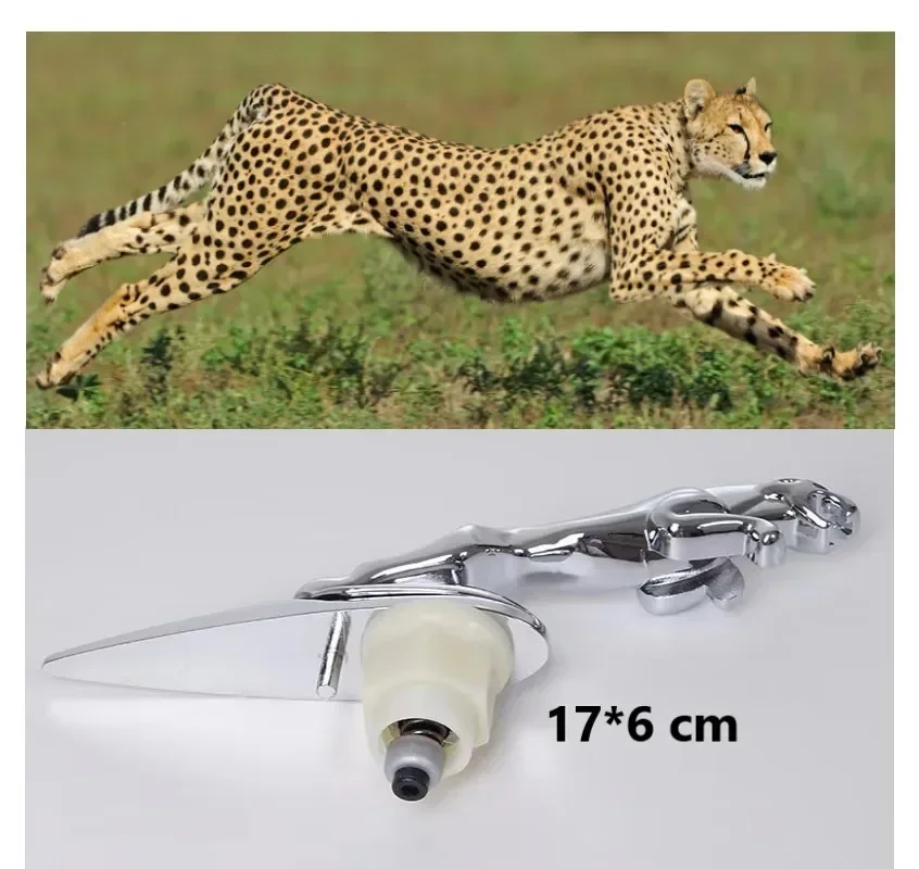 غطاء محرك السيارة الأمامي شعار شارة الجذع شارة ل جاكوار XF XJ XE XK XKR XFL XJS EPace FPace S نوع X نوع Ftype الملحقات