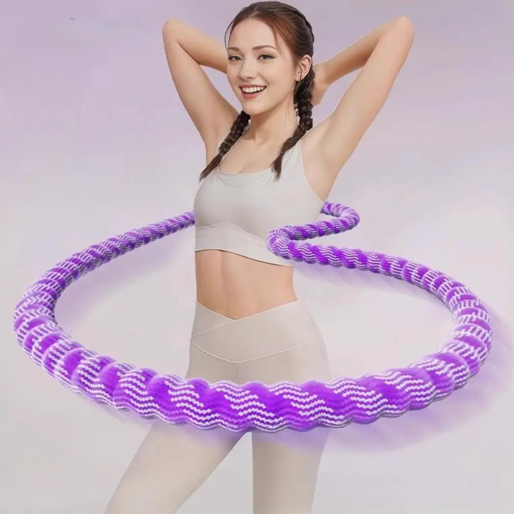 Portable Fitness Ho… - image