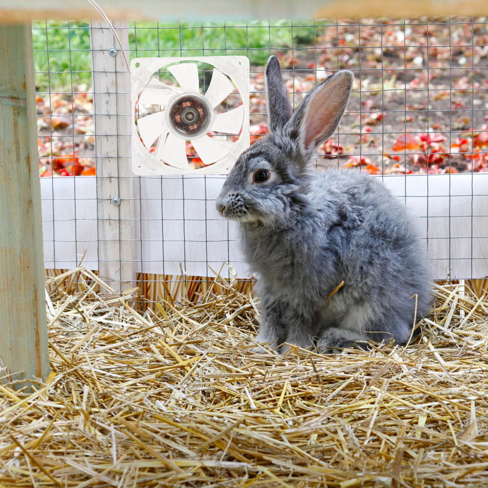 

Acrylic Cage For Pets Transparent Portable Pet Cooling Fan Usb Powered Hamster Cage Fan Small Animal Summer Cooling Tool Pet