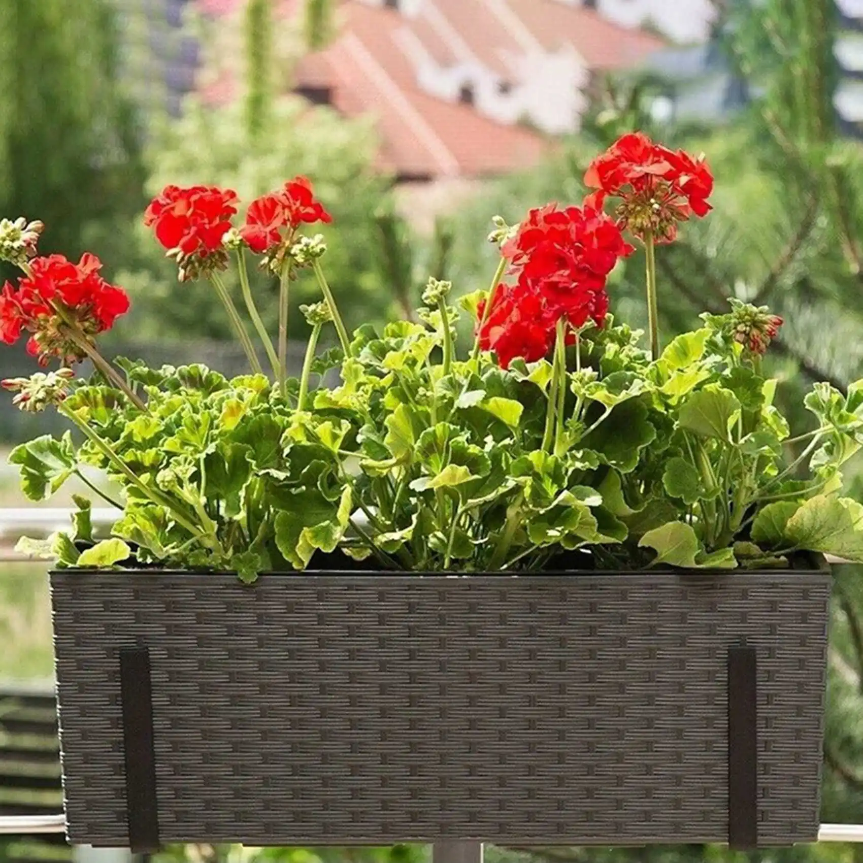 abwr-3-paires-de-crochets-pour-pot-de-plantes-crochets-suspendus-pour-rail-de-balcon-supports-de-support-de-jardiniere-crochets-en-fer-crochet-reglable-en-hauteur-s