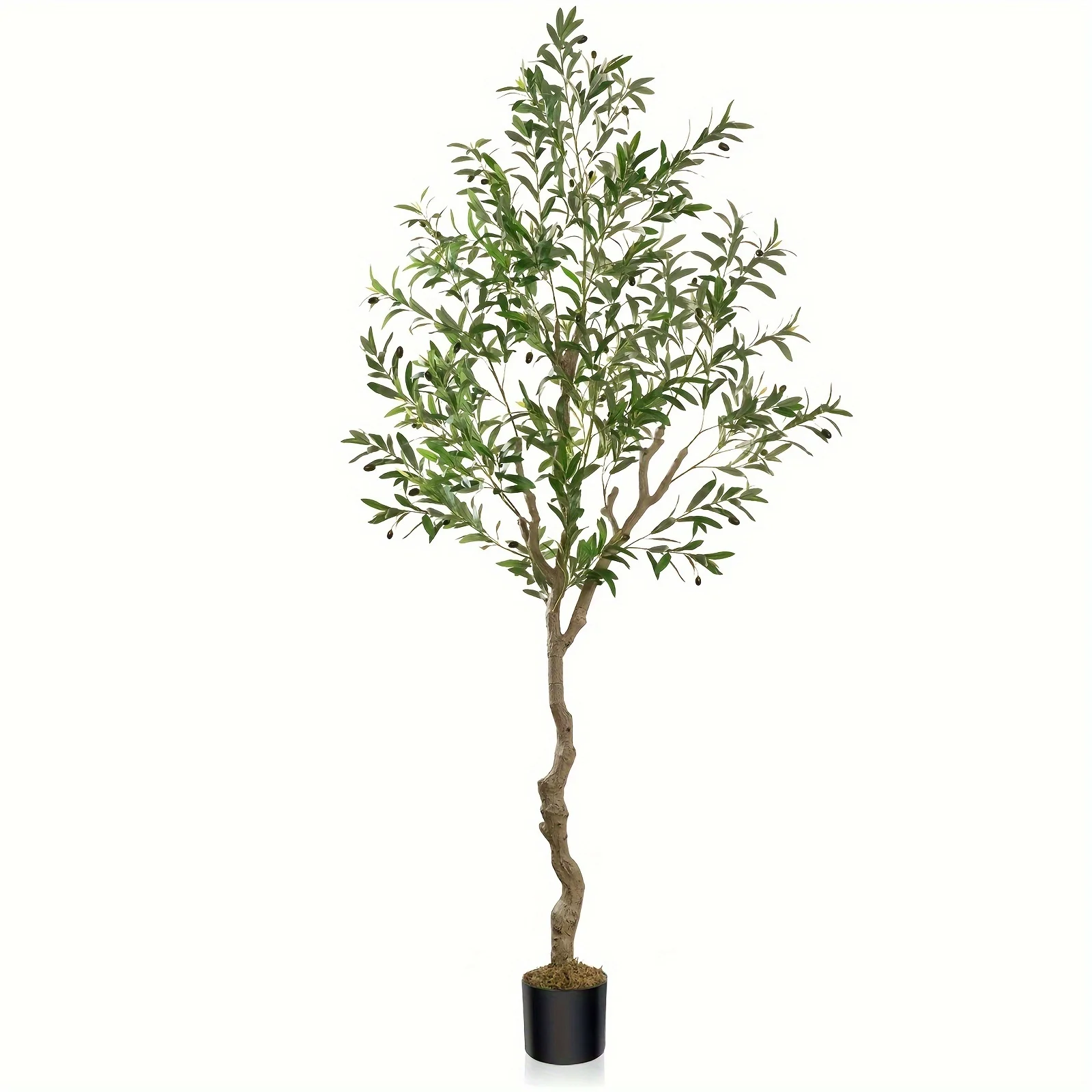 

Indoor Artificial Olive Trees Available in Heights of 5FT, 6FT, 7FT, And 8FT, Perfect for Decorating Your Home, Living Room