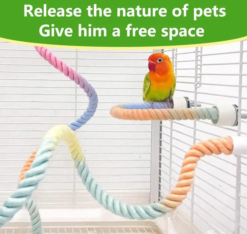 Thumbnail 3 - #18 Bird Perch Stands List of Top Picks