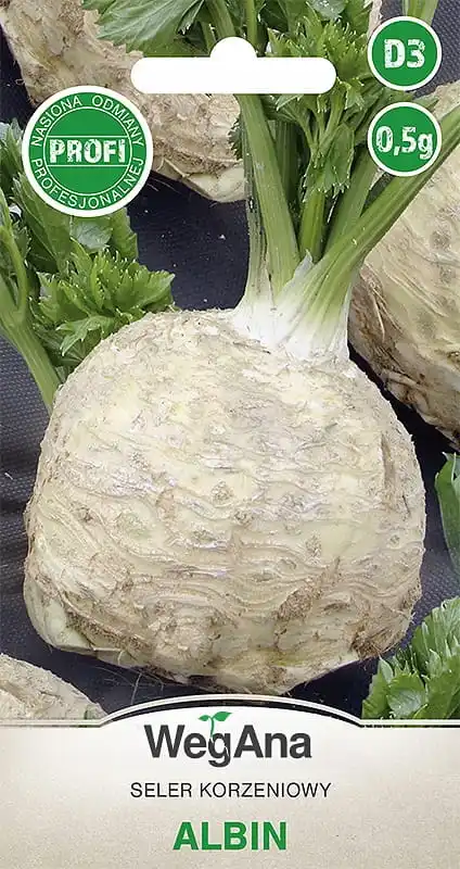 Asio de raíz de Albin 0,5 g de semillas de apio vegetal VegAna
