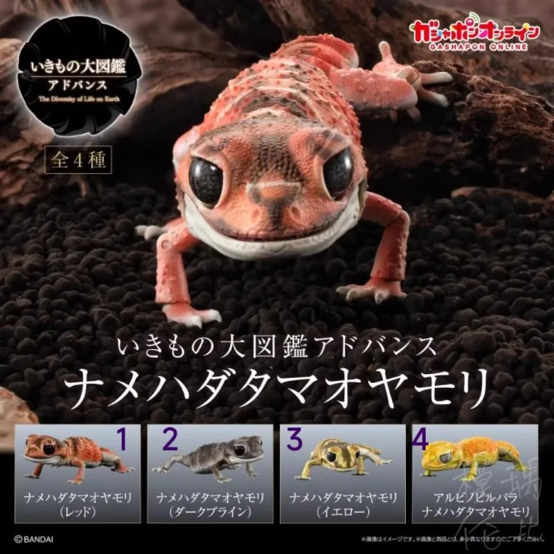 Original Bandai Big Biological Map Gashapon Reptile Tumor Tail Gecko Lizard Anime Animal Action Figure Model Toy Gift Collection