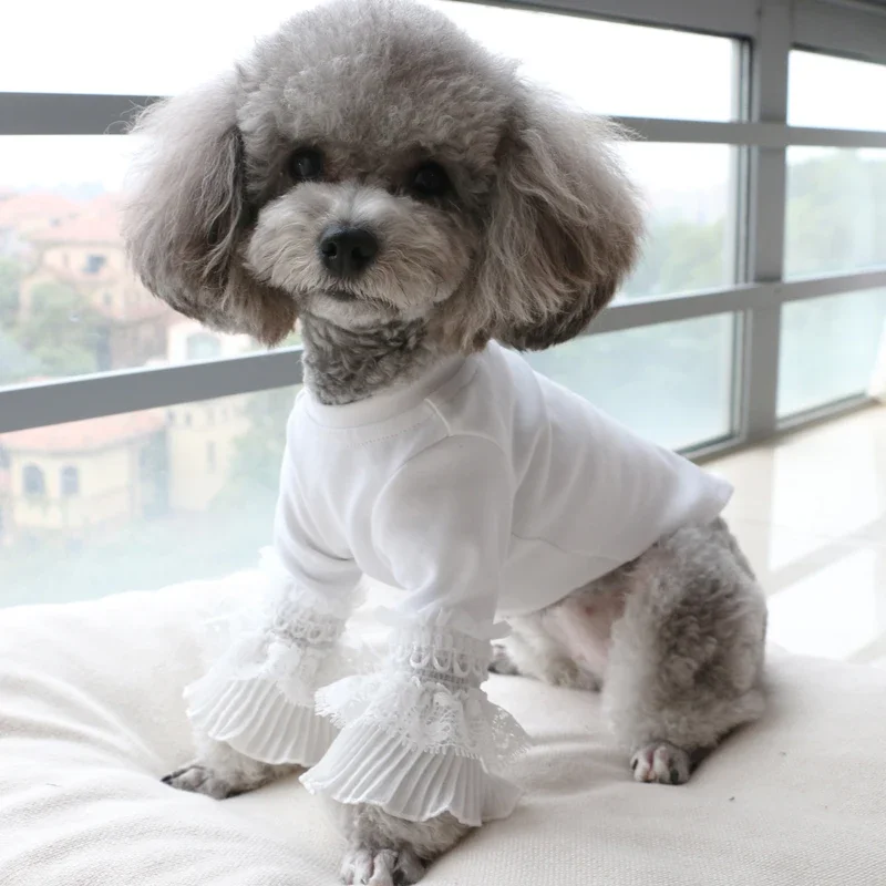 2025 New Pet Spring and Autumn Thin Section Cotton Lace Long-sleeved Pullover Bottoming Shirt Long-legged Teddy T-shirt Top