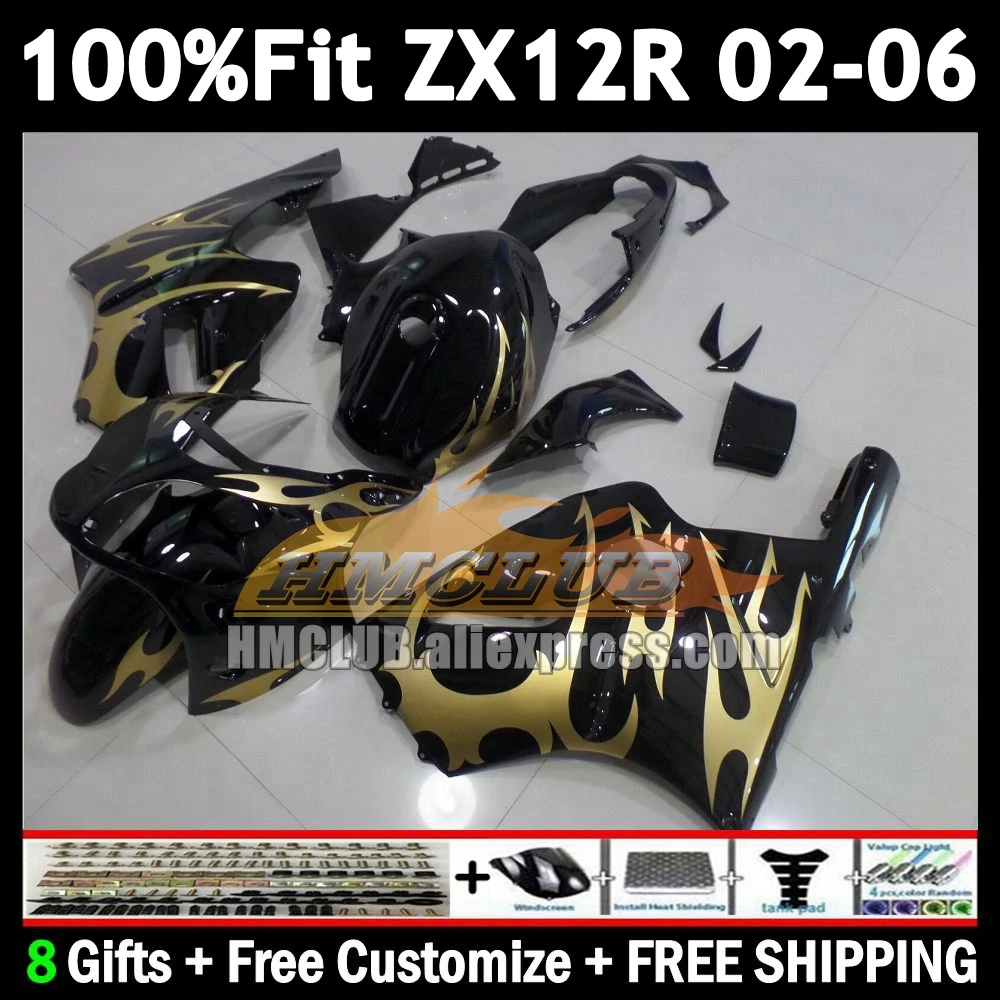 Injection For KAWASAKI NINJA ZX 12R 12 ZX-12R 2002 2003 2004 2005 2006 177No.28 1200CC ZX12R 02 03 04 05 gold flames 06 Fairing