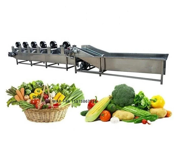 304 Stainless Steel Ozone Fruit and Vegetable Washer Bubble Clean Strawberry Pepper Potato Cleaning Machine With air Dryer