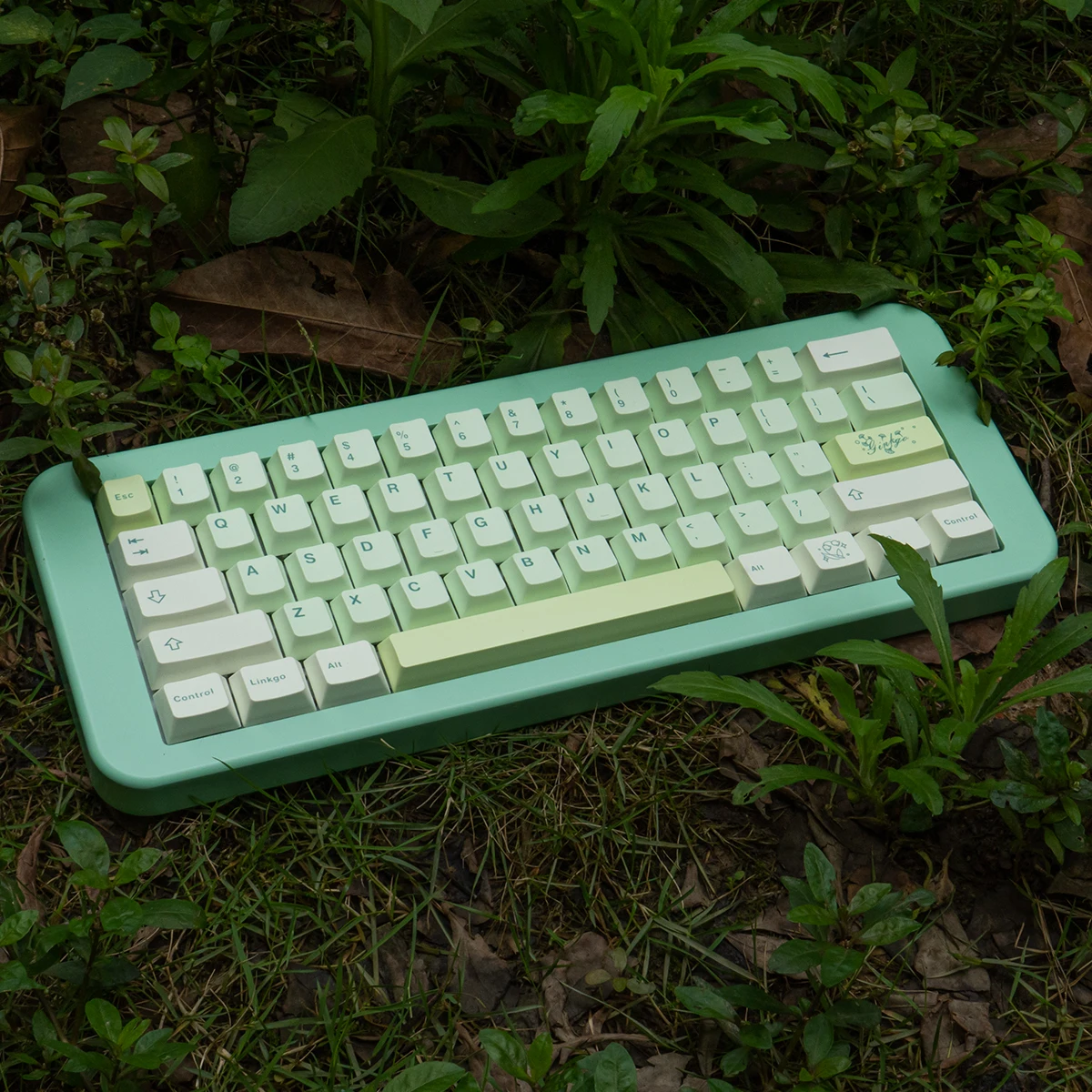 Imagem -04 - Gmk Ginkgo Keycap Pbt Dye-sub Perfil de Cereja Faça Você Mesmo Verde Teclado Mecânico Jogos Espaço 2.25u 2.75u 7u 143 Chaves