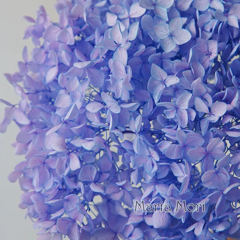 Preserved Hydrangea Anna Hydrangea Little Leaves Decor Office Decor DIY Flowers Wedding Decoration