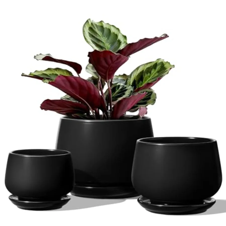 

Plant Pots, 4.1+5.1+6.5 inch, Set of 3, Ceramic Planters with Drainage Hole and Saucer, Indoor Flower Pot with Hole Mesh Pad, G