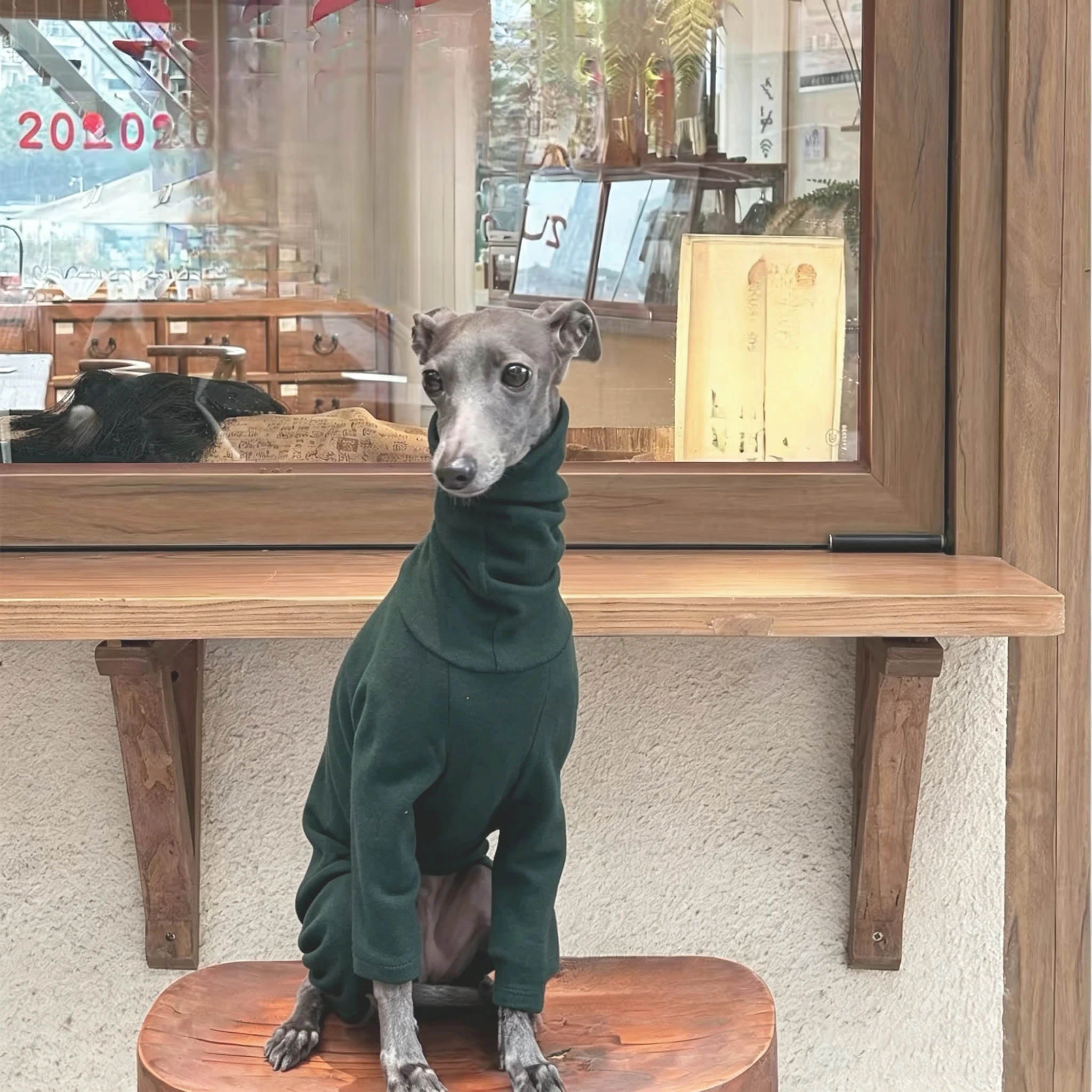 Italienischer Windhund Vierbeinige Kleidung Modische Mehrfarbige Weiche Bequeme Elastische Einfarbige Hundekleidung – Detail 8