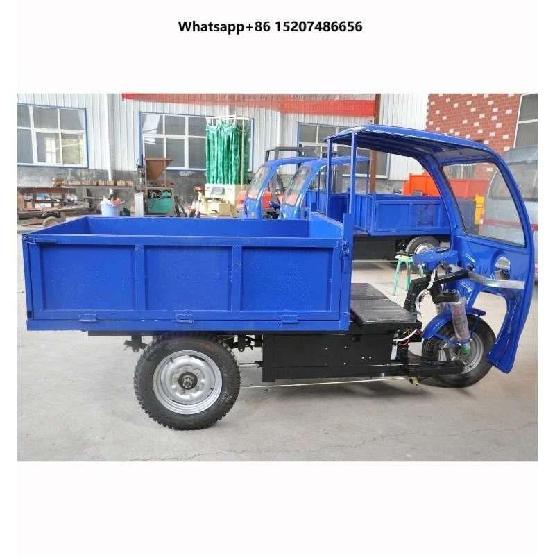 Trade Assurance Large Capacity Cheapest Electric Cargo Tricycle for Sale