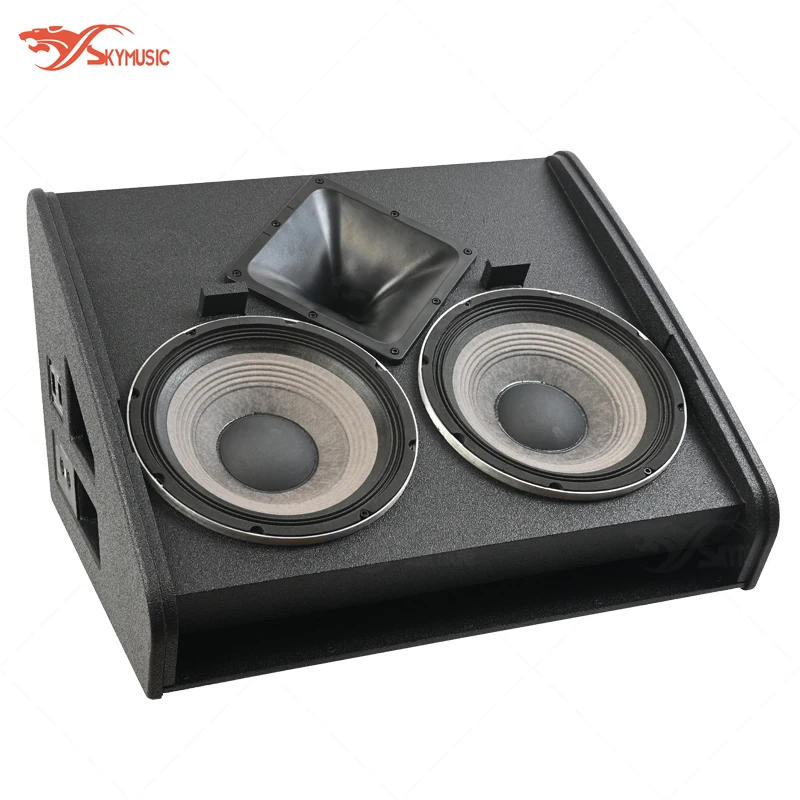 

Dual 12-inch Professional Stage Speaker High-Power PA DJ Live, 2-Way Passive for Outdoor Events and Peormances