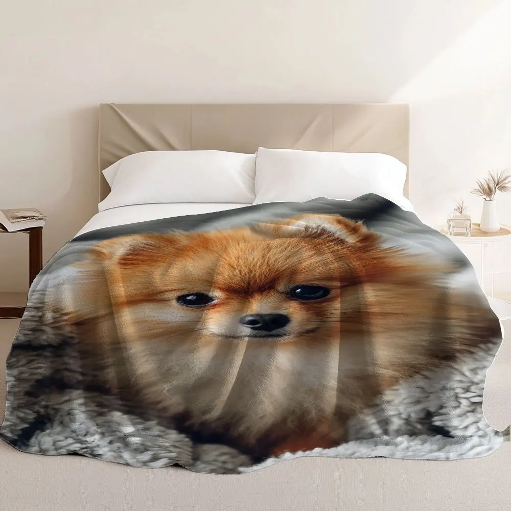 1pc Cozy Fluffy Pomeranian Joy Print Flannel Blanket - Soft Warm All-Season Throw for Couch, Bed, Car, Office, Camping & Travel - Durable Versatile Gift for Pet Lovers, Vibrant Design, Plush Texture