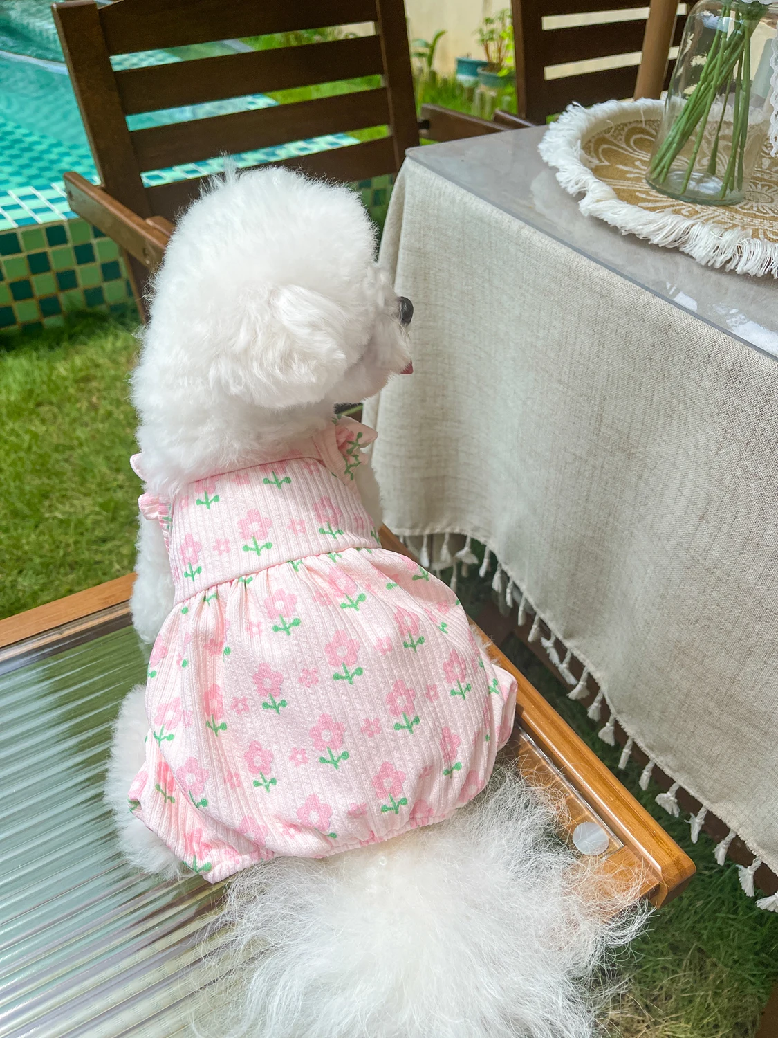 Dog Pajamas Jumpsuit Small Dog Clothes Overalls Pyjama Autumn Winter Pet Clothing Coat Outfit Garment Yorkies Poodle Sleepwear