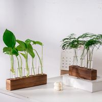 Wooden Stand Hydroponic Vase Transparent Test Tube Shape Hydroponic Plants Container Creativity Minimalist Flower Vase