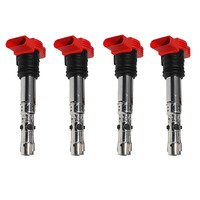 4PCS Ignition Coil For AUDI A4 B6 B7 A6 C5 A8 D3 Quattro Avant VW TOUAREG 2001-2005 2.0 3.0 06C905115A 06C905115B Accessories