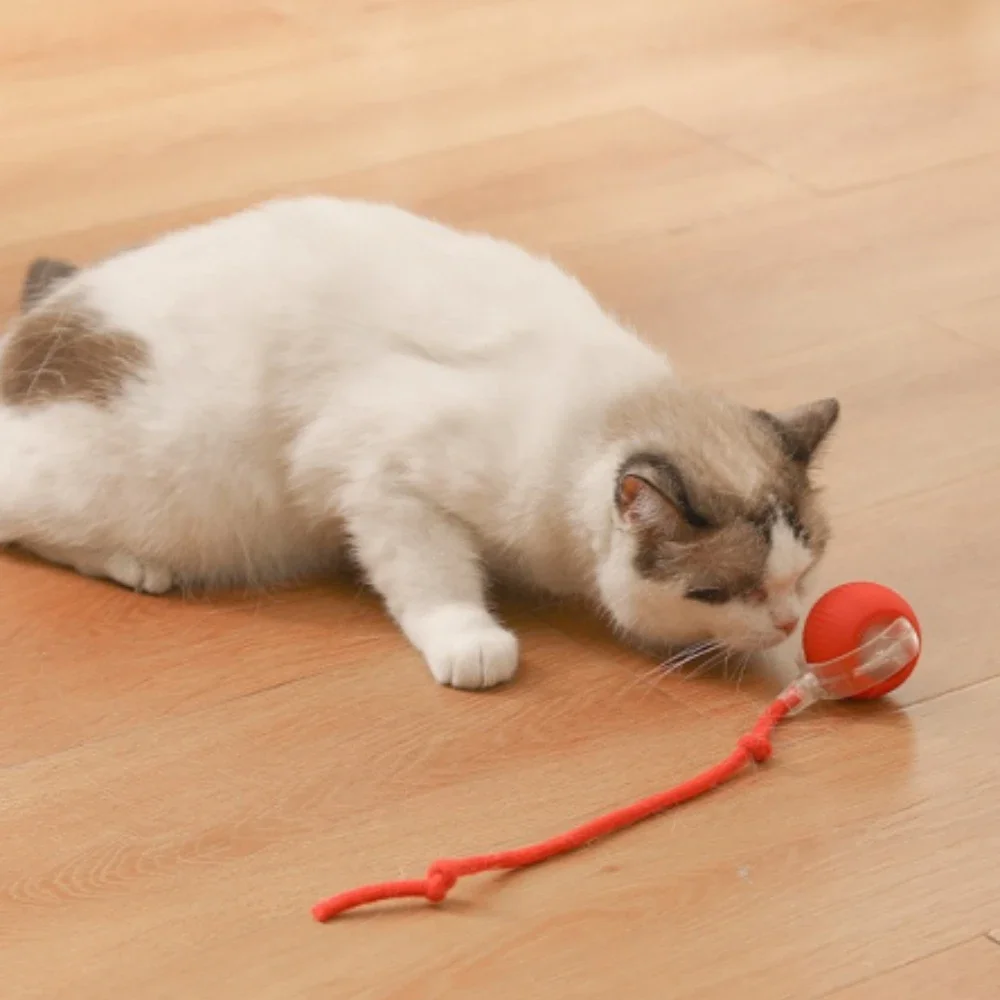 Accessories for Cats Long -tail Exercise Activation Sensor Pet Cat Tease Automatic Toys Super Driven Cat Rolling Ball Supplies