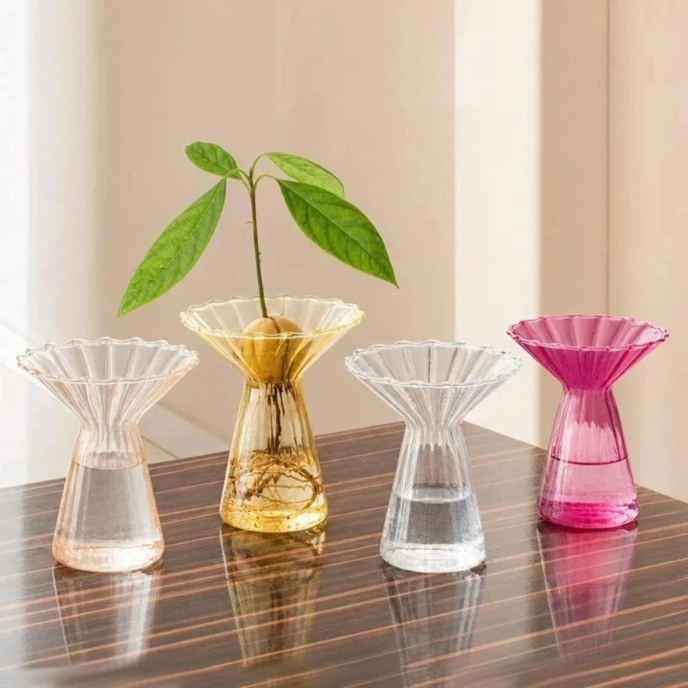 Colorful Transparent Glass Vase Narrow Neck Design for Propagating Plants for Avocado Tulip Bulbs Nordic Style Home Decor