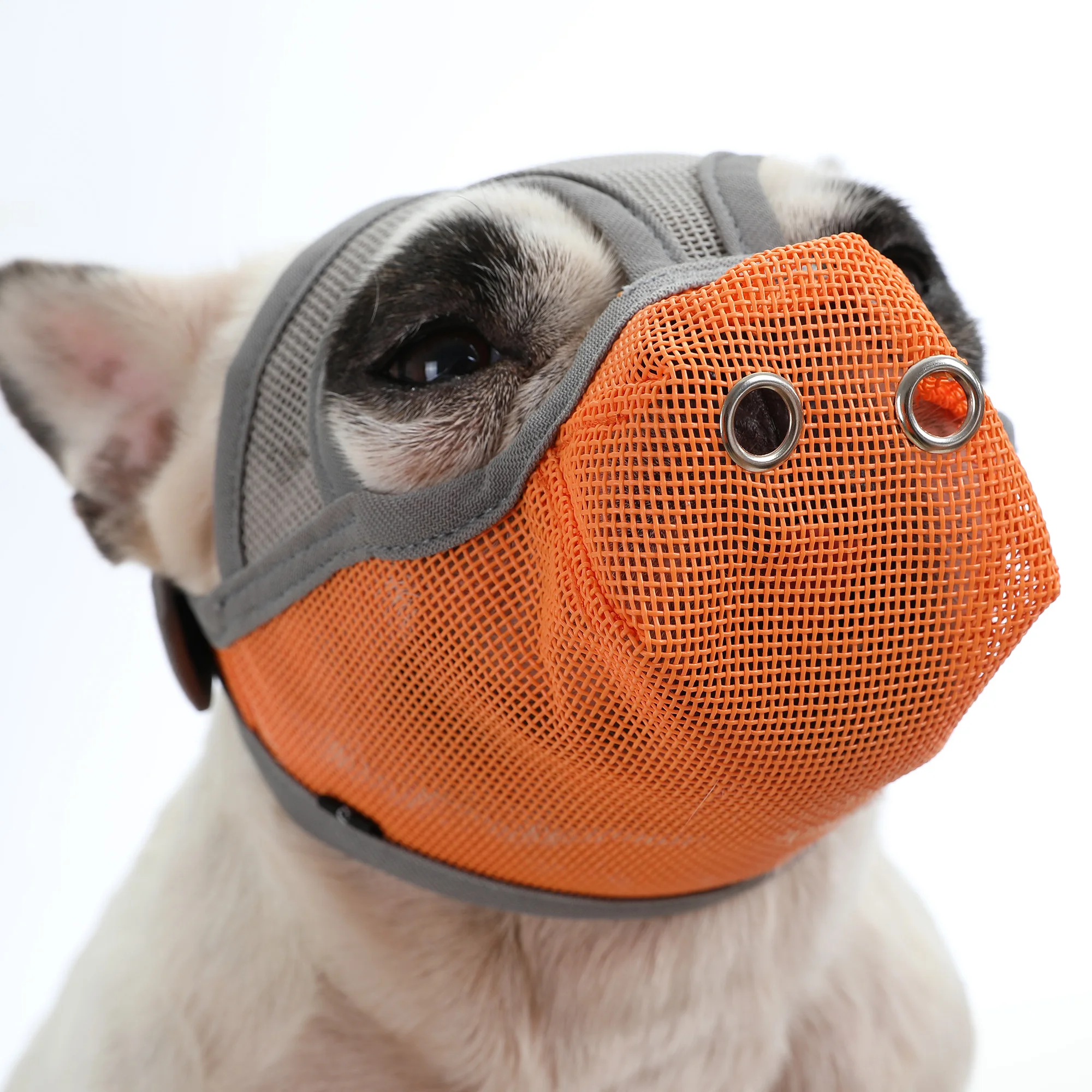 Muzzle for Dog Small Dogs Large Dogs Mesh Pet Dog Muzzle Breathable Mesh for Short Snout Dogs Prevent Biting Barking