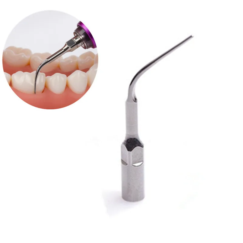 Máquina de odontología desechable, punta de repuesto, hoja de limpieza Dental, herramienta de cuidado de pájaro carpintero, Material de higiene