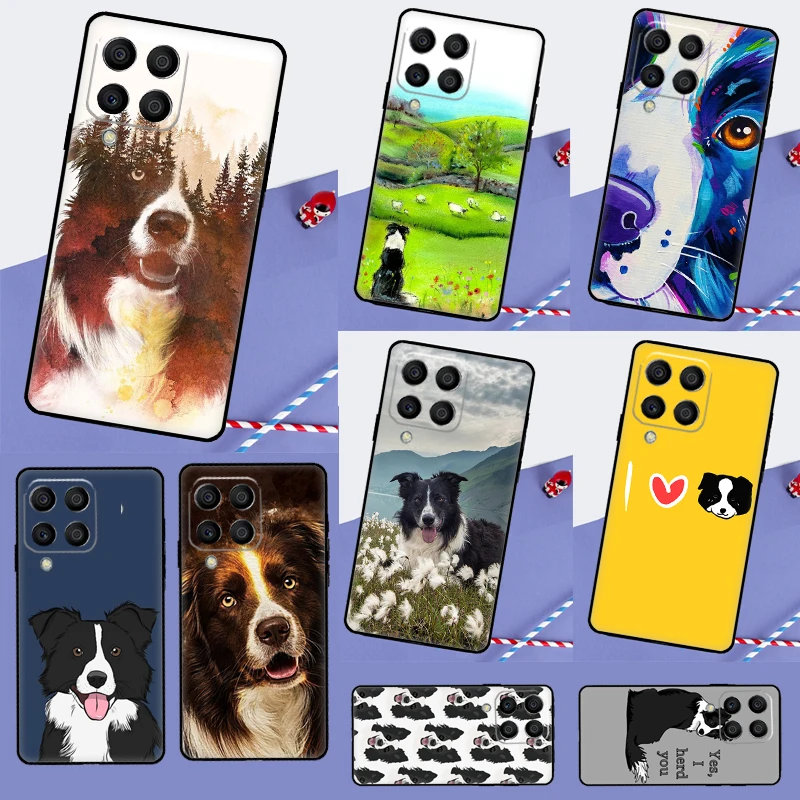 Border Collie Dog F…