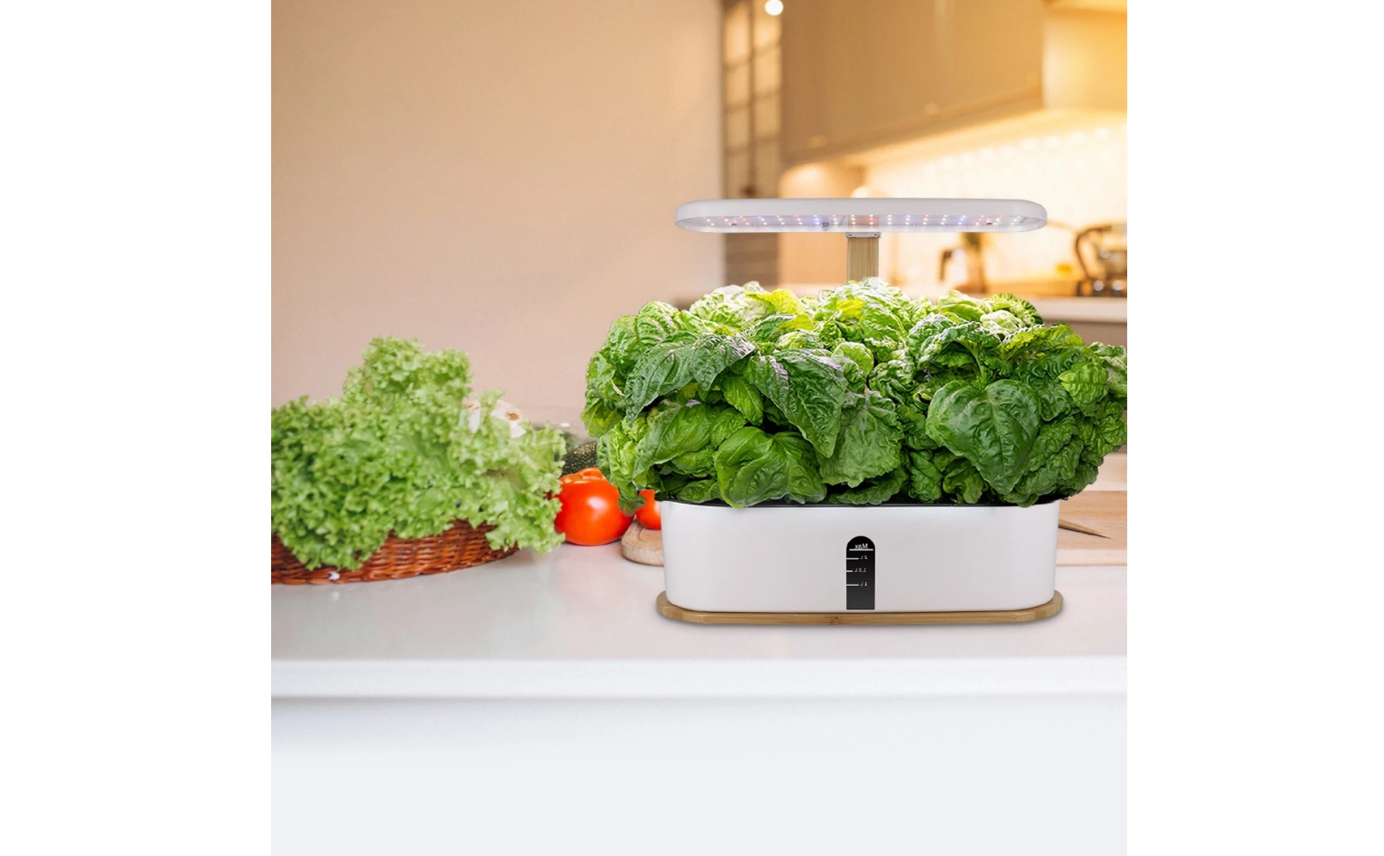 Hydroponic Planter with LED Grow Illumination areaSaving Indoor Hydroponic Garden Indoor Garden with LED Grow Light Fresh Slim