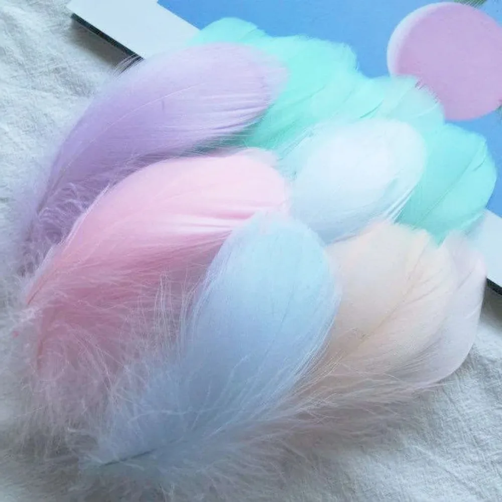 100pcs Natural Goose Feathers Headdress Floating Small Swan Feather Plume 7-12cm Colourful Dream Catcher Feathers for DIY Craft