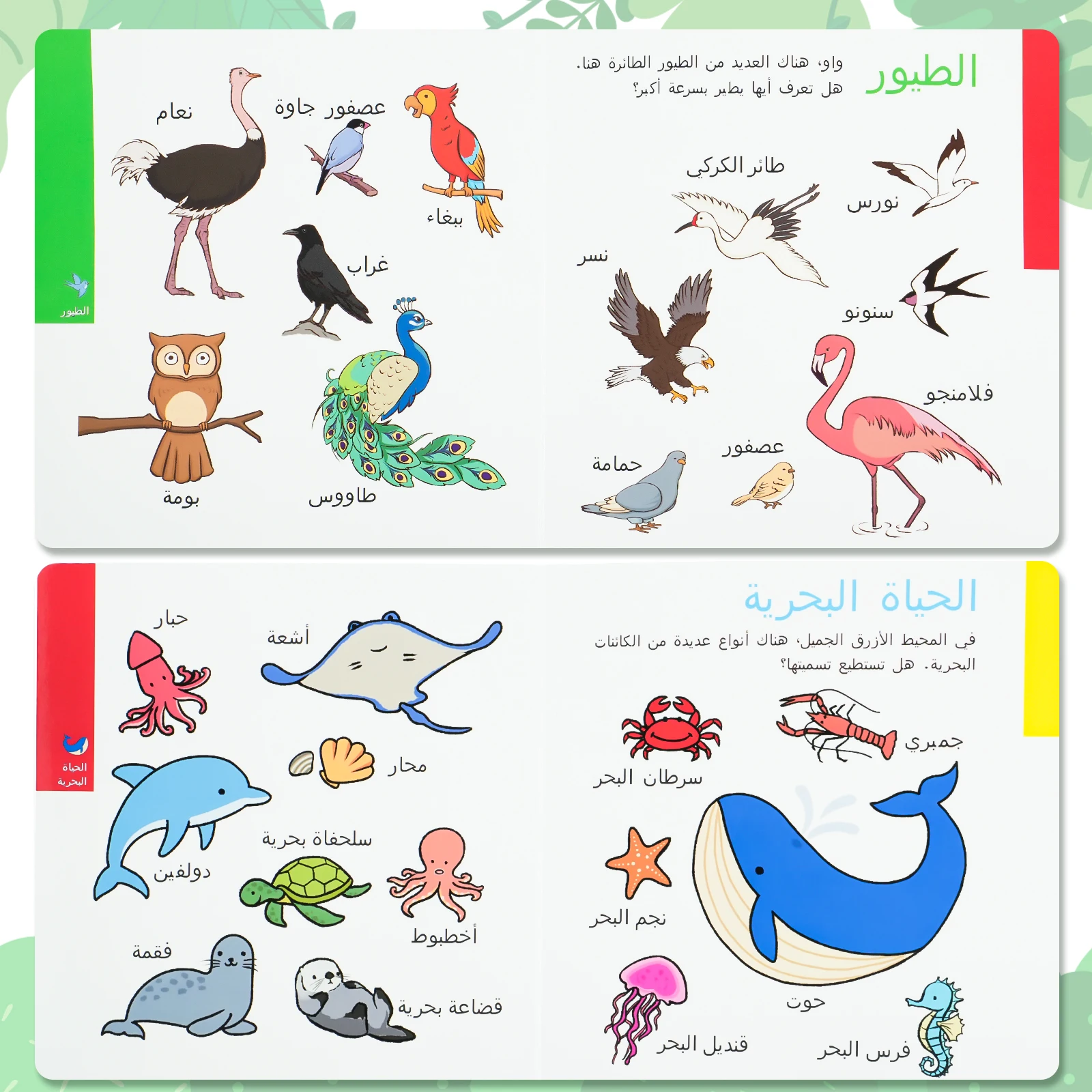 Arabic Kids Encyclopedia Board Book – Explore Nature World (Animals, Birds, Sea Life, & Vegetables) | Sturdy Laminated Pages