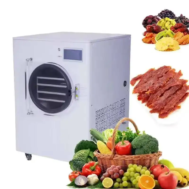

2025 New 15kg/24hours Commercial Dry Vacuum Price Small Capacity Freeze Dryer