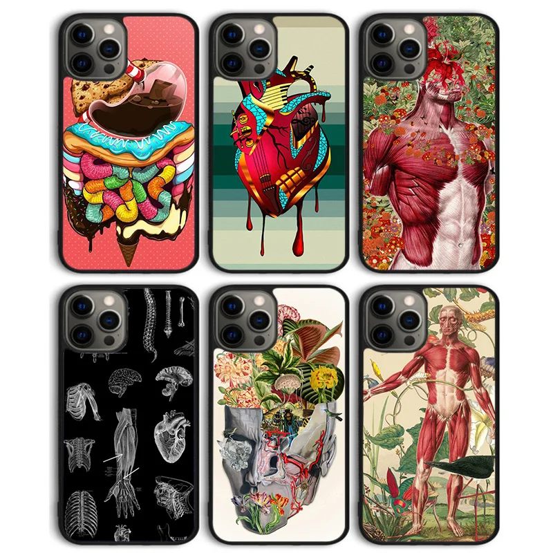 Human Brain Art Pho…