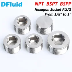 SUS 316 Hex Socket PLUG NPT BSPT ISO7/1 BSPP G ISO228/1 1/8 1/4 3/8 1/2 3/4 6000 psig High Pressure Stainless Steel Pipe Fitting