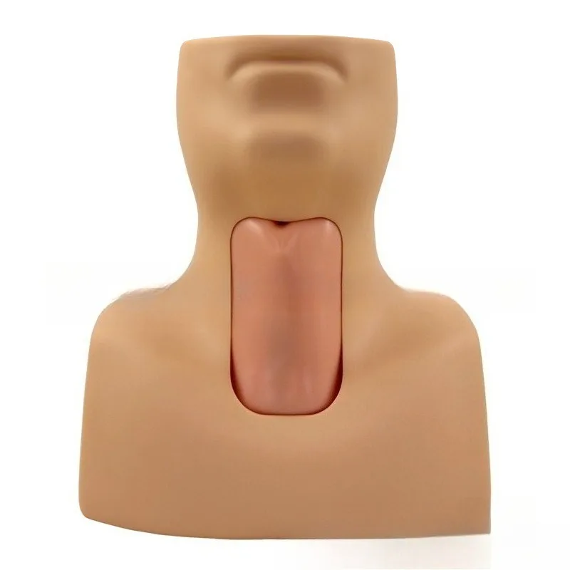 Cricothyrotomy & Tracheostomy Training Model - Practice Cricothyroid Membrane Puncture and Airway Intubation Procedure