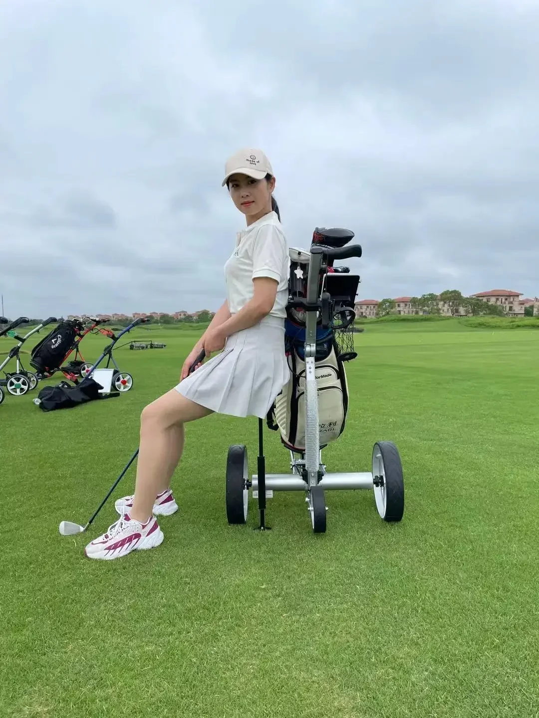 Batterie au Lithium 24V DC, entraînement électrique, télécommande, chariot de Golf, couleur argent