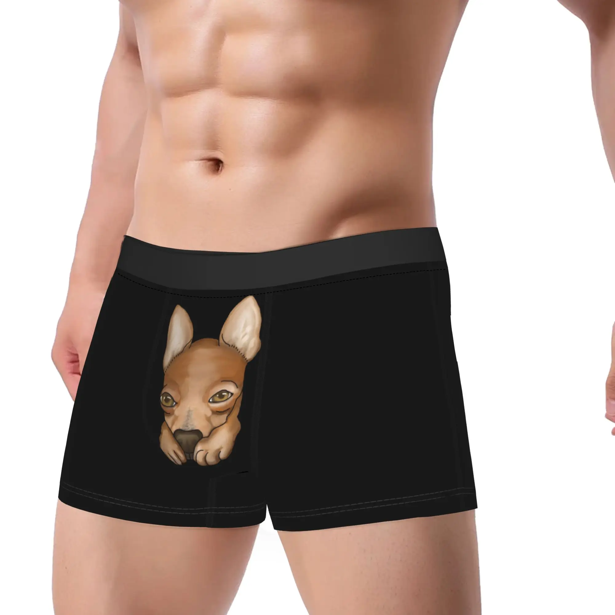 Little Chihuahua Boxer Shorts  Pouch Underwear High Quality Pattern Shorts Briefs Comfortable Men's Panties Plus Size 2XL