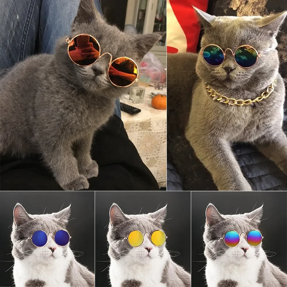 Glasses For a Cat Pet Products Goods For Animals Dog Accessories Cool Funny The Kitten Lenses Sun Photo Props Colored Sunglasses