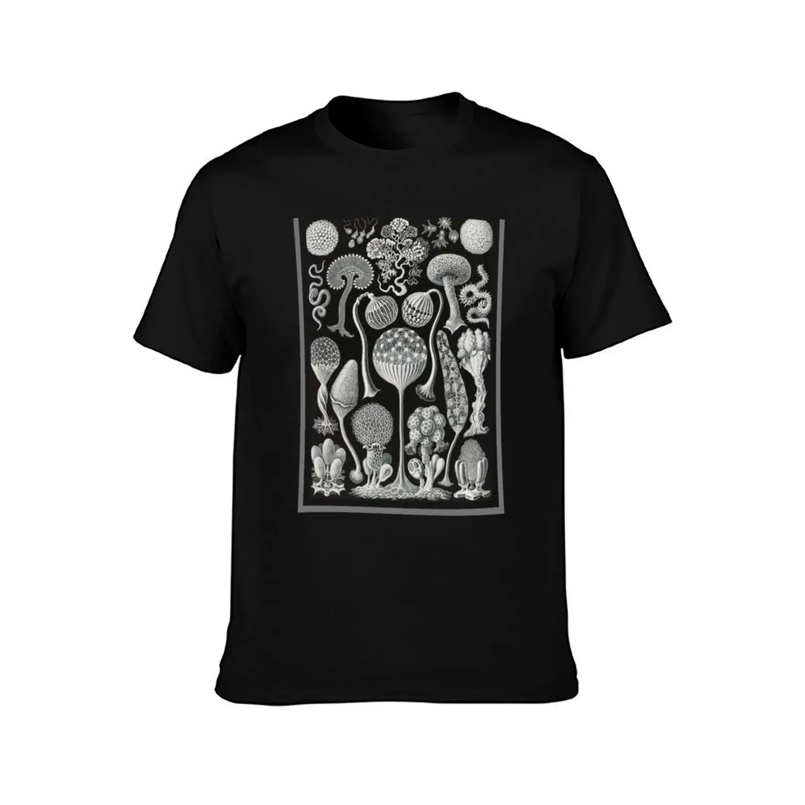 Slime Mold - Nature T-Shirt, Summer Casual Cotton Tee, Oversized Streetwear Tops, Vintage Graphic Print, Loose Fit Short Sleeve