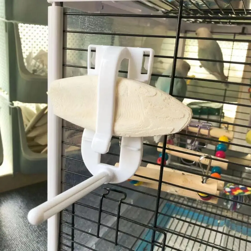 Cockatiel Budgie Ve…