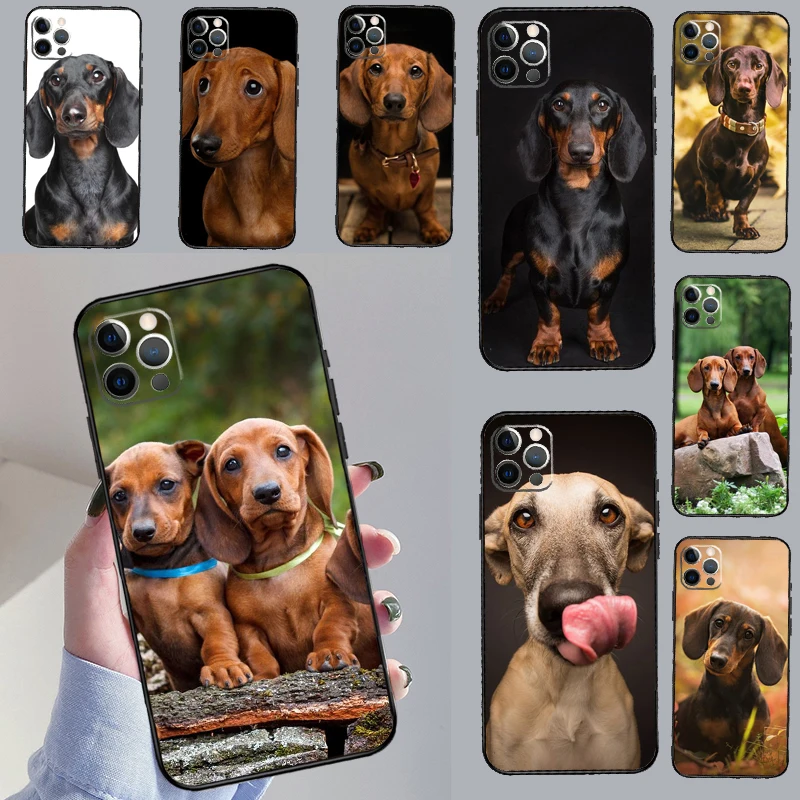 Dachshund Dog Case … - image