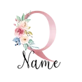 Q